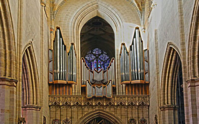 SINGING IN CATHEDRALS #2